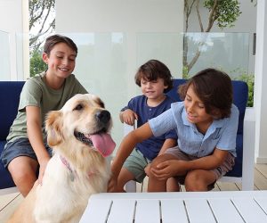 Pet Friendly Holiday Homes on The Gold Coast